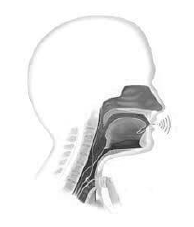 Esquema de prótese fonatória em paciente laringectomizado