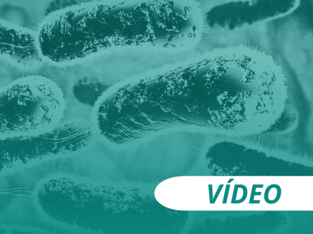 Vídeo - Antibióticos