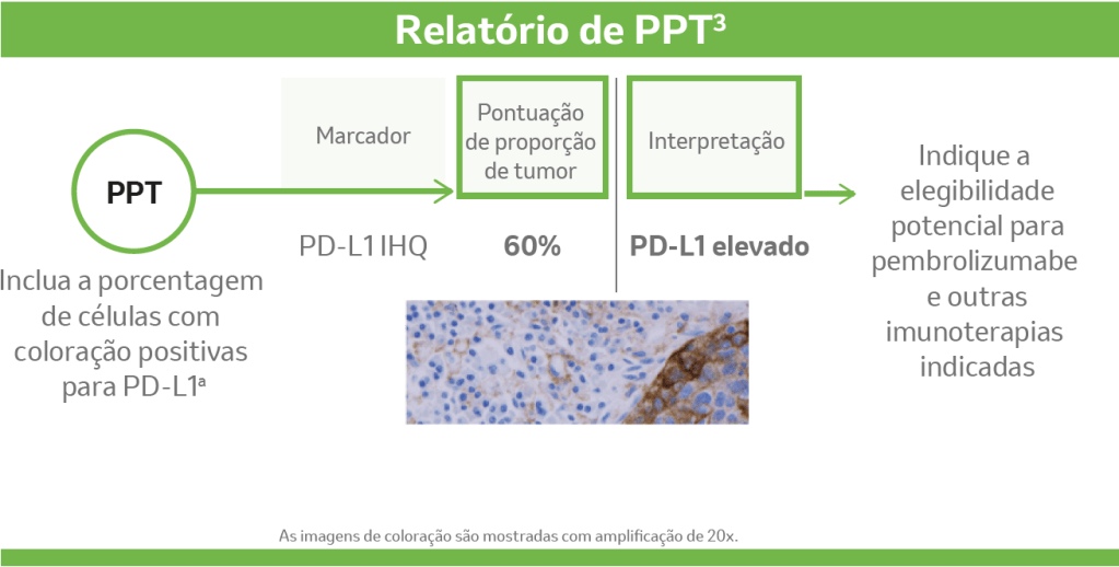 Relatório de PPT