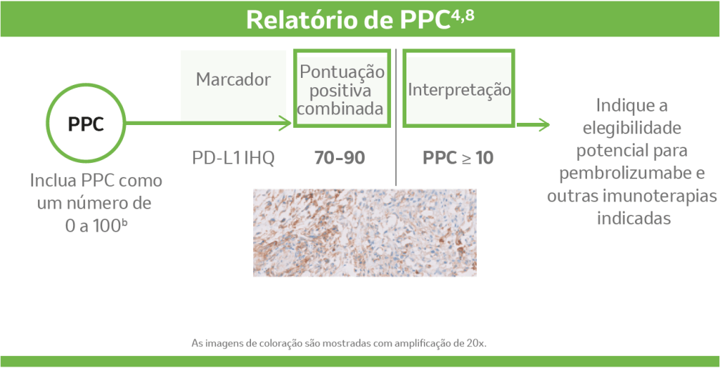 Relatório de PPC