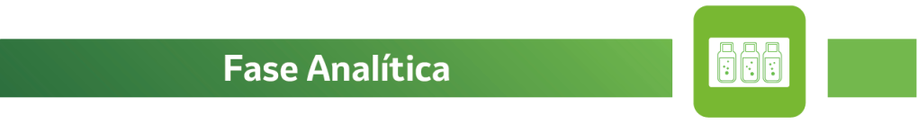 Fase Analítica
