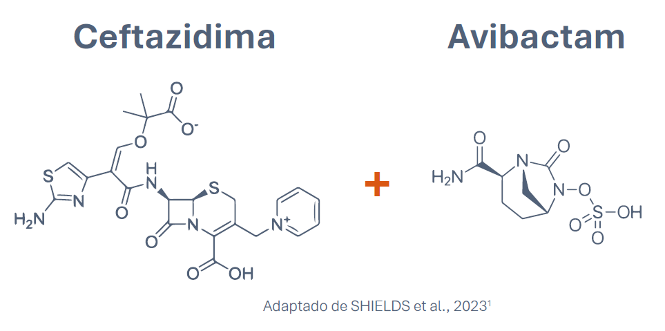 Ceftazidima + Avibactam