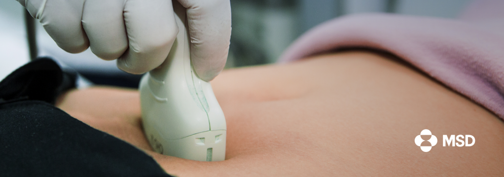 Câncer de endométrio: conheça os fatores de risco e 
as medidas preventivas