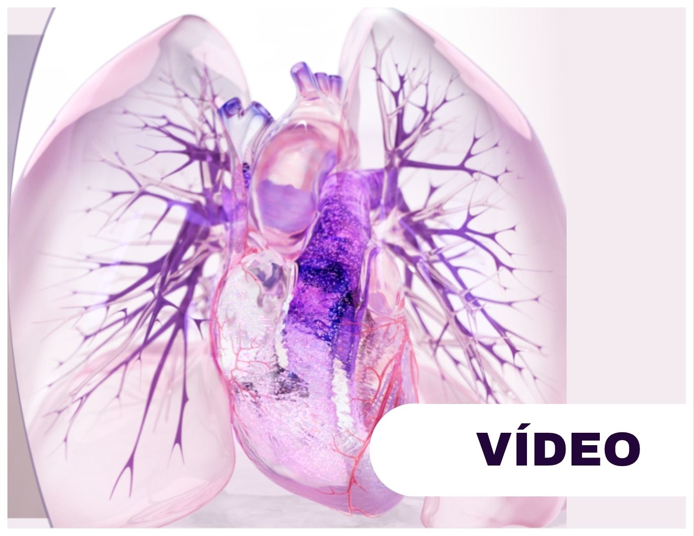 Thumb VIDEOS Doenças Raras