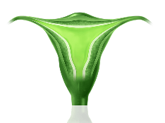 ícone - Carcinoma endometrial