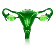 ícone - Carcinoma epitelial de ovário, tuba uterina ou peritônio primário